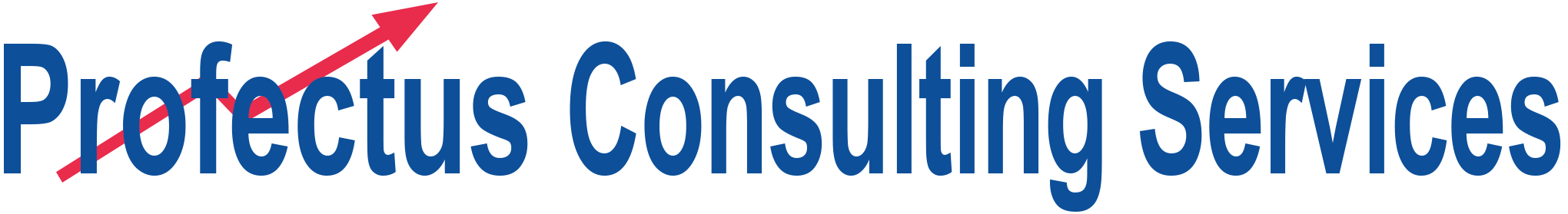 Profectus Consulting Services